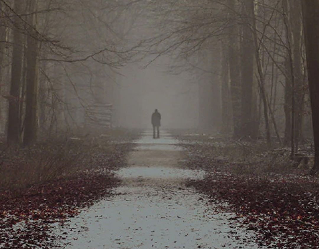 Man walking away through the foggy forest