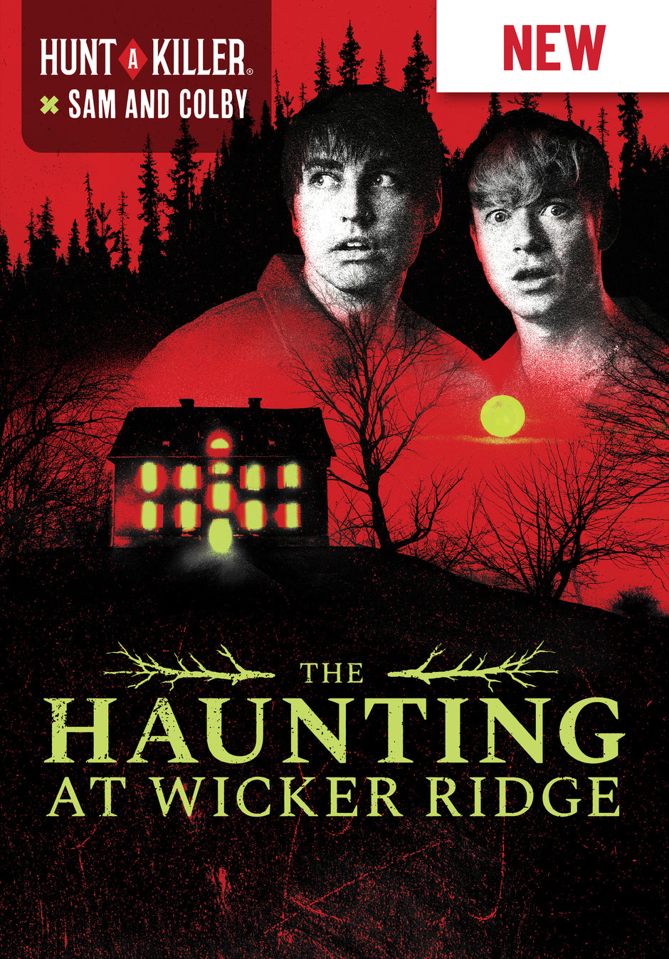 Narrative Cases – Hunt A Killer